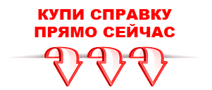 справка в Нижнем Новгороде