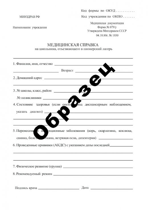 Справка в пионерский лагерь в Нижнем Новгороде